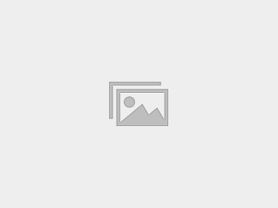 NullFlag Project On 2025