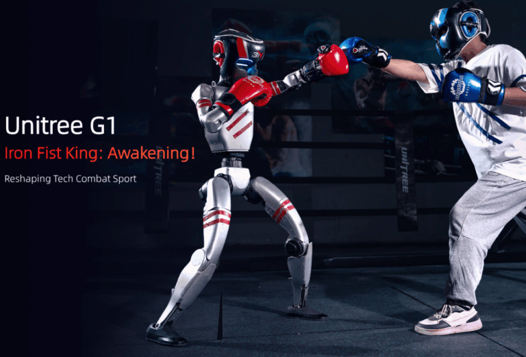 Humanoid Robot Boxing